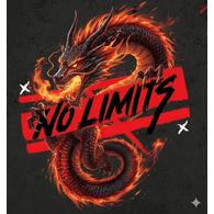 06VNL emblem