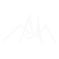 LNAG- emblem