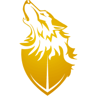 -VNT- emblem