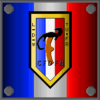 CFDFN emblem