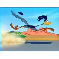 -ACME emblem