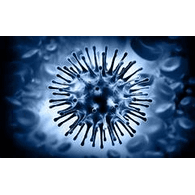 GDSGD emblem