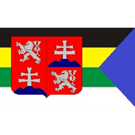 CSTEK emblem