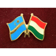 HUN9 emblem