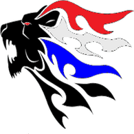 DPF emblem