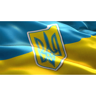 D06P0 emblem