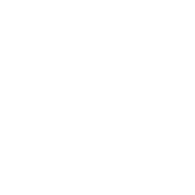 SGT-A emblem