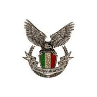 FSI emblem