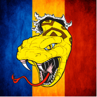 VIPRO emblem