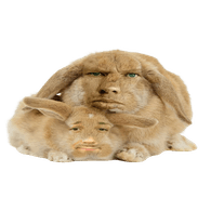 KPOJI emblem