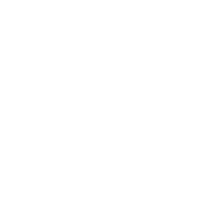 PLZRP emblem