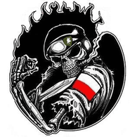 TDSOP emblem