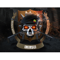 MIRSE emblem
