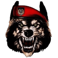 -JSO- emblem