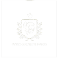 3TKIN emblem