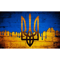 M310 emblem