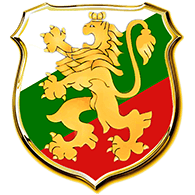 BRAV3 emblem