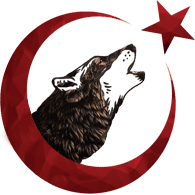 STURK emblem