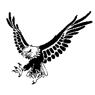 SOKOL emblem