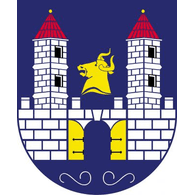 T-FCZ emblem