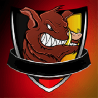 DPSW emblem