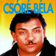 CSORE emblem