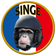 SINGE emblem