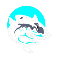 0CE4N emblem