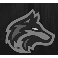 5PDP emblem