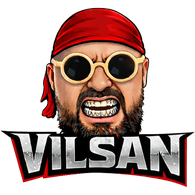 VILSN emblem