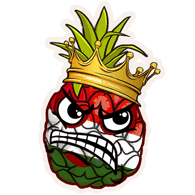 PICON emblem