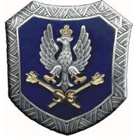 PLSTG emblem