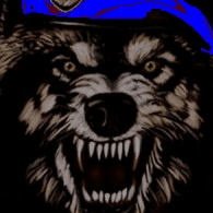 DW_CZ emblem