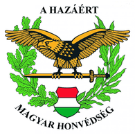DFURY emblem