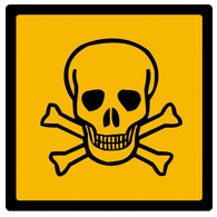 CASTL emblem