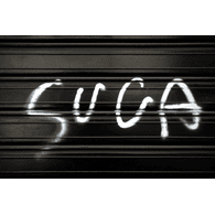 SU_CA emblem