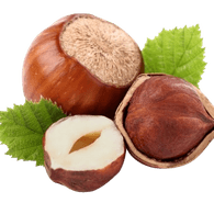 H_NUT emblem