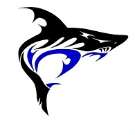 126TH emblem