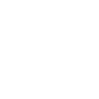 T-SB emblem