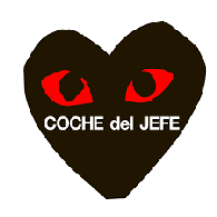 COCHE emblem