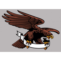 N_G_P emblem