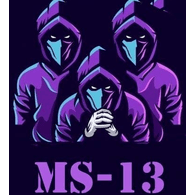 MS-4- emblem