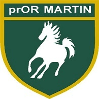 11MPR emblem