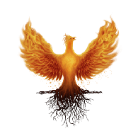 RISED emblem