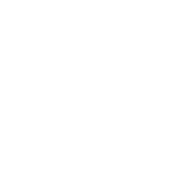 LST13 emblem