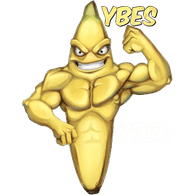 YBES emblem
