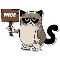 __NIC emblem