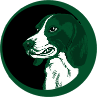 BDOOM emblem