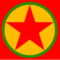 AMED emblem