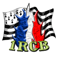 1RCB emblem